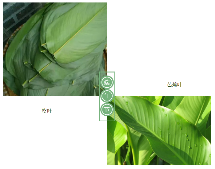 pa集团医纺