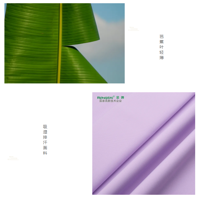 pa集团医纺