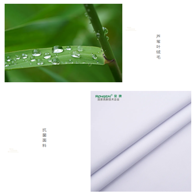pa集团医纺